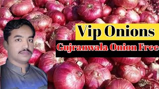 Vip Onions November 16 2024 [upl. by Aicirtam]