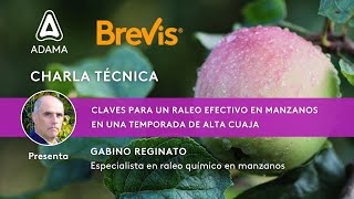 Charla Técnica Brevis®️  Claves para un raleo efectivo en manzanos en una temporada de alta cuaja [upl. by Ysus797]