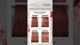 Sublimic Luminoforce for colored hair ShiseidoPro ColoredHair Haircare sublimic [upl. by Aenil]