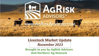 November 2023 Livestock Market Update [upl. by Enneire]