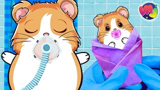 🐶 HAMSTER EMBARAZADA TIENE un BEBÉ en el HOSPITAL 🤰 [upl. by Nillor]