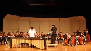 Emmanuel SejourneMarimba Concerto mov 1 performance by TingChun Yeh [upl. by Otrebireh]