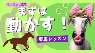 「乗馬」駈歩、速歩、常歩全ての運動は馬をまず動かすことから！ [upl. by Mosira]