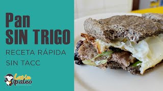 PAN SIN TRIGO Receta FÁCIL  SIN TACC  Receta Paleo [upl. by Eidnahs863]