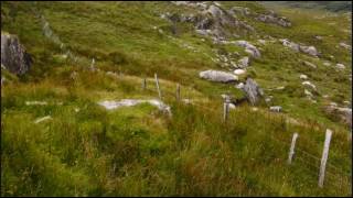 patrick ball  celtic harp music [upl. by Oicneserc563]