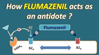 How Flumazenil acts as an antidote for benzodiazepines [upl. by Pincince74]