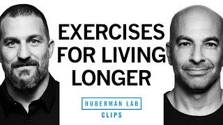 Best Exercises for Overall Health amp Longevity  Dr Peter Attia amp Dr Andrew Huberman [upl. by Oznole]