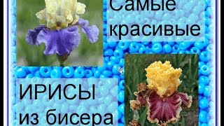 Irises Самые красивые ирисы из бисера [upl. by Haran510]