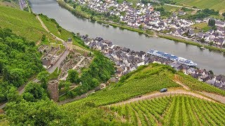 German Riesling Wine Journey [upl. by Jezabella]