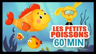 Les petits poissons dans leau  1H DE COMPTINES POUR LES PETITS  Titounis [upl. by Hymie]