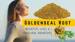 Secrets of Goldenseal Root Powder for Health and Healing [upl. by Nohtanoj329]