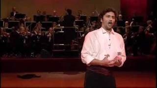 Jonas Kaufmann  Blumenarie aus der Oper Carmen 2011 [upl. by Berger]