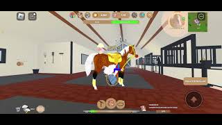 Showing all my horses in wild heart stables [upl. by Lotson]