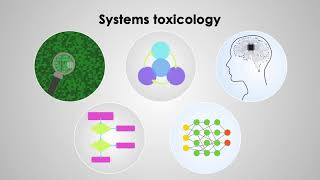 Systems Toxicology integrates toxic effects from human cells to population [upl. by Bellina468]