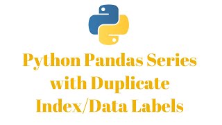 Python Pandas Series with Duplicate Data LabelsIndexes [upl. by Iclek]