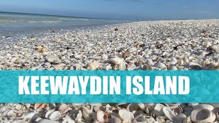 ASMR Florida Beach Walk Keewaydin Island Florida [upl. by Aicertal]