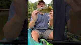 🎣 Tippecanoe River Smallmouth Bass fishing bassfishing kayakfishing [upl. by Charisse681]