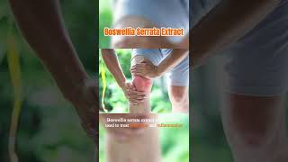 The Power of Boswellia Serrata for Joint Health [upl. by Wiersma]