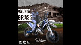 Mo Le To Grass  Bilygane Official Clip ScProduction [upl. by Lonna]