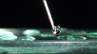 Hydrophile et hydrophobe — expérience scientifique 605 de Grains de bâtisseurs [upl. by Eugenle]