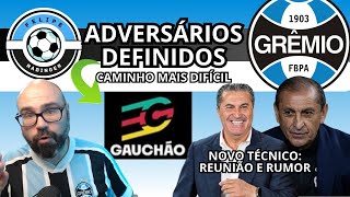 ADVERSÃRIOS DO GRÃŠMIO NO GAUCHÃƒO  JOSÃ‰ PESEIRO E RAMÃ“N DIAS [upl. by Neelloj]