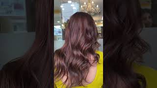 Brown mahogany balayage hair colour hair balayagehighlights highlightshaircolour balyage salon [upl. by Adnileb]