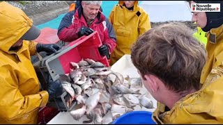 VIDEO Pêche détang  la Gabrière à Lingé vidée de ses poissons [upl. by Dierolf]