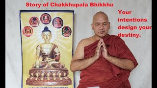 Episode 1 Introduction to Dhammapada amp Story of Chakkhu Pala Bhikkhu [upl. by Stauffer]