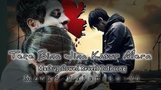 Tere Bina Jina Kasur Mera  Slowed Reverb  Mashup  Dic Sutus Hard  Letest Vairl Song [upl. by Inanuah]