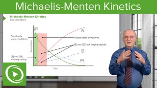 MichaelisMenten Kinetics Considerations amp Time Relation – Biochemistry  Lecturio [upl. by Soigroeg]