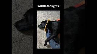 ADHD oversharing and selftalk adhd audhd neurodivergent oversharing selftalk [upl. by Hanauq383]