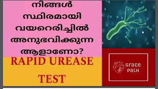 Rapid Urease Test RUT  CLO Test  Helicobacter Pylori Malayalam [upl. by Bower]