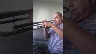 Magnificent 7 trumpetduets trumpet trumpetmusic [upl. by Leeban]