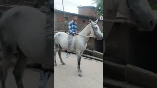 Samar riding on ChetakHorsewith Sonu Chacha [upl. by Lorraine]