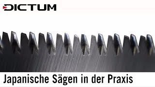 Japansägen in der Praxis  Arbeiten mit Zugsägen aktualisiert 2019 [upl. by Binnings]