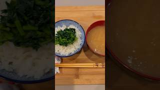 Cooking with Fresh Daikon Radish Leaves Simple Japanese Meal 🥘 food [upl. by Scuram]