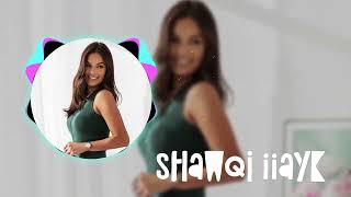 Shawqi Iiayk Remix 2024  Passionate Melodies by Layla Jamil  Original Track by Omar Nabil [upl. by Templia]