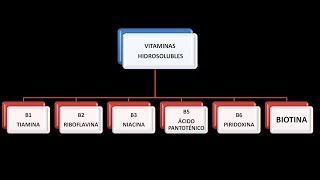 Vitaminas hidrosolubles Biotina [upl. by Nylirrehs341]