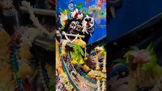 Jay Shri Radha Krishna Jay Shri Radha Krishna🔥🔥🙏🙏youtubeshorts viralvideo sorts viralshorts [upl. by Quincey274]