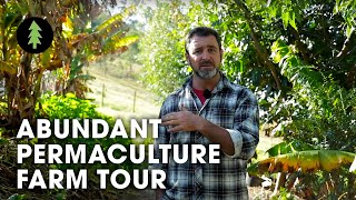 Beautiful 1Acre Small Scale Permaculture Property  Limestone Permaculture Farm Tour [upl. by Yuri]