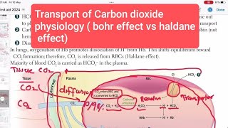 Transport of Carbon dioxide physiology  bohr effect vs haldane effect Respiratory System 19 [upl. by Eidnim]