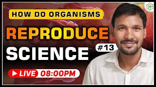 How Do Organism Reproduce Class 10 Full Chapter  Class 10 Science Chapter 8  CBSE [upl. by Enirhtac]