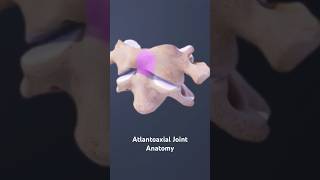 Atlantoaxial Joint Anatomy [upl. by Cart643]