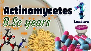 Actinomycetes  Characteristics  Importances  Identification BSc 3st year 🧫💊🔬 [upl. by Keefe]