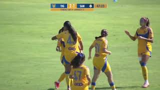 Tigres vs Santos  Femenil Sub19  Resumen  Jornada 13  Liga MX  Apertura 2024 [upl. by Myo]