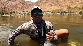 Our last day on the Orange river We Found some really big small mouth YellowFish [upl. by Enautna]