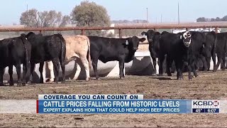 TTU expert says falling cattle prices will also lower beef prices [upl. by Homerus277]