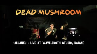 Dead Mushroom  Haluanku Live At Wavelength Studio Kajang 2018 [upl. by Sanford99]