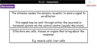 A Level Biology  5112  Homeostasis [upl. by Orelie350]