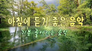 내 마음을 녹이는 뉴에이지 연주곡🌲하루10분 만병을 치료 해주는 힐링 명상 기치료 음악 및 영상  아침명상음악  아침음악  힐링음악  명상음악  스트레스해소음악 [upl. by Anilegna]